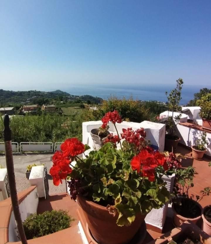 La Casa Bianca Ischia
